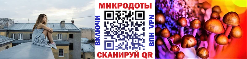 Купить где  Верхний Уфалей  Псилоцибиновые грибы Magic Shrooms 